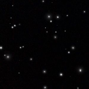 Meet your Posher, Jackson